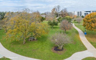 Spend Time in Nature at Battle Bend Neighborhood Park